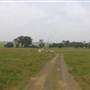 Riverstone Farmland & Eastern Creek