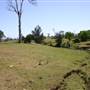 Riverstone Farmland & Eastern Creek