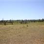 Riverstone Farmland & Eastern Creek