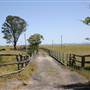Riverstone Farmland & Eastern Creek