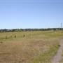 Riverstone Farmland & Eastern Creek