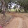 Paddys Creek Rd, Dubbo