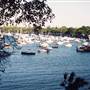 Rose Bay