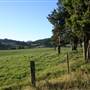 Rolling Hills - Southern Highlands