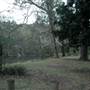 Royal National Park
