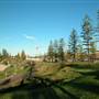 Port Macquarie Area