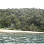 Portuguese Beach