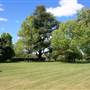 Petersons Armidale Winery & Guesthouse