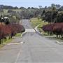 Walcha