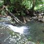 Terania Creek picnic area & Protesters Falls walking track