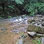 Terania Creek picnic area & Protesters Falls walking track