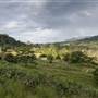 Tweed Valley 1 of 2