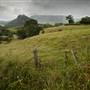 Tweed Valley 1 of 2