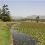 Clarrie Hall Dam