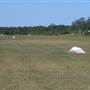 Tyagarah Airfield, Byron Bay