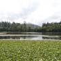 Tweed Valley 1 of 2