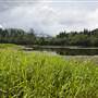 Tweed Valley 1 of 2