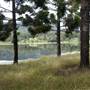 Tweed Valley 1 of 2