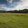 Tweed Valley 1 of 2