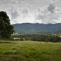 Tweed Valley 1 of 2