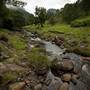 Tweed Valley 1 of 2