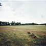 Parkes