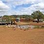 Sheep Station