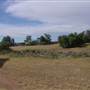 The Springs Homestead - Dubbo