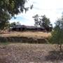 The Springs Homestead - Dubbo