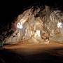 Wellington Caves Complex