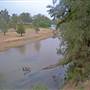 Whylandra Crossing, Dubbo