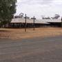 West Wyalong Racetrack and Showgrounds