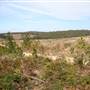 Penrose State Forest - Southern Highlands