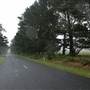 Robertson - Southern Highlands