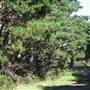 Robertson - Southern Highlands