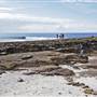 Shellharbour 1