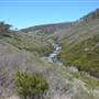 Snowy Mountains - Semi-Dry Steppes