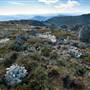 Snowy Mountains - Semi-Dry Steppes