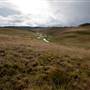 Snowy Mountains - Semi-Dry Steppes