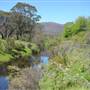 Snowy Mountains - Semi-Dry Steppes