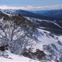Thredbo