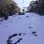 Thredbo