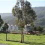 Tullimbar Village