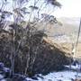 Thredbo