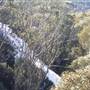 Thredbo