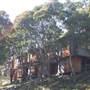 Thredbo
