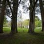Parklands Country Garden & Lodges