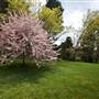 Parklands Country Garden & Lodges
