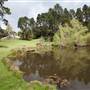 Parklands Country Garden & Lodges