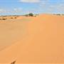 Perry Sandhills